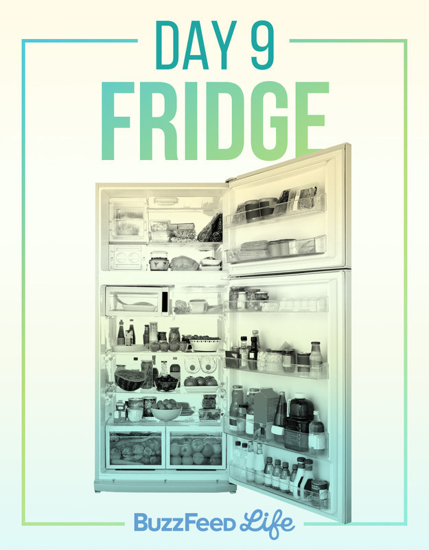 Day Nine of the 10-Day Spring Cleaning Challenge – The Fridge