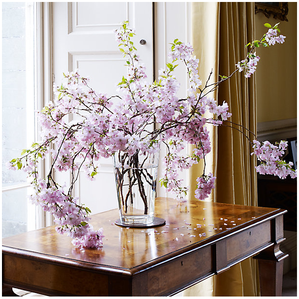 The Chicest Designers Reveal Their Favorite Flowers