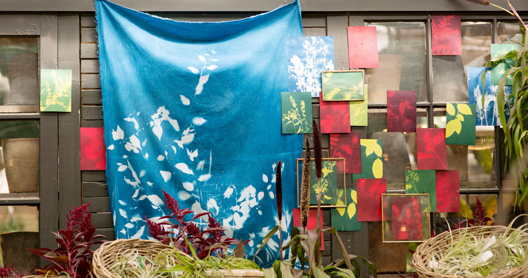 MAKE IT DIY: Autumn Sun Printing